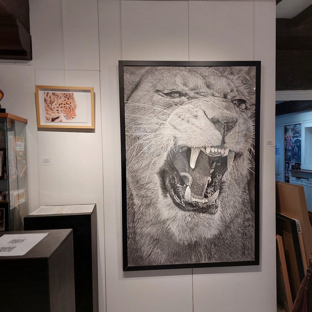 Galerie Roussard 1
